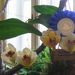 Orchid show, Orchidea bemutató 030
