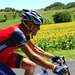 6df97d8c11e18275ac1915315a6e5905-getty-cycling-fra-tdf-2010-arms