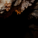 barlang 5