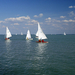 balaton 4