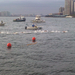 FINA 10K swim race, Governors Island, men's finish