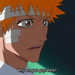 bleach114-216