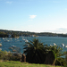 Watsons Bay:)