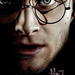 harry potter and the deathly hallows part i ver6 xlg