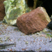 akvarium garnelas 2011.02.23 005