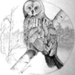 GrayOwl-tn (Medium)