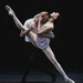 434842.835passionate pasdedeux (Medium)