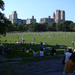 454 Central Park-Sheep Meadow