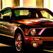 Mustang Shelby Cobra1SP