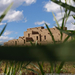 pueblo-building-grass-005pc08tad2cma057-sw (Medium)