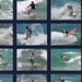 Surfing Collage