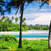 coconut grove XL Aitutaki lagoon