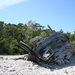 Hajóroncsok /wrecks shipwreck/