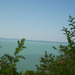 Balaton