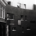 Haarlem modern house