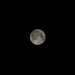 első hold fotóm