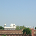 Agra fort inside 3