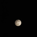 DSC 9748 Ismét a Hold