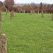 Kőkori világháborús temető