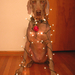schristmas dog.png