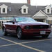 Mustang 03