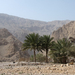 Wadi Khab A'Shamis (25) 1