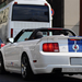 Roush Stage 3 Convertible