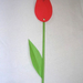 Papír tulipán 2