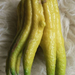 Citrusféle, "Buddha-keze" termése