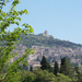 assisi03