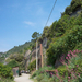 corniglia25