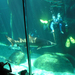 063 Cape Town Aquarium
