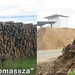 Biomassza a határon 3