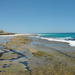 Australia 2007 -4- YANCHEP 373