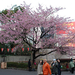 ueno park