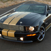 Ford-Mustang Shelby GT-H Convertible 2008 1280x960 wallpaper 01