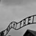 Album - Auschwitz_Birkenau
