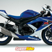 SuzukiGSXR600 06