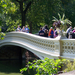 Central park Bow bridge