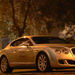 Bentley Continental GT 135 Speed