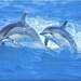 Aki szereti a Delfineket, az írjon a edina017@vipmail.hu-ra!
