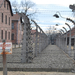 Auschwitz  0159