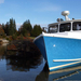 blue-hull-boat-maine-xl (Medium)