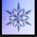 dendrite-snowflake-1047254-xl (Medium)