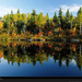 lakeside-reflection-canada-408786-xl (Medium)