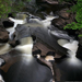 porcupine-mountains-waterfall-xl (Medium)