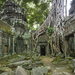 ta-prohm-ruins-062109-xl (Medium)