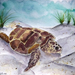 sea turtle painting 2 small