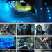 Avatar Movie Wallpapers Pack