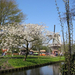 Keukenhof-19 (Medium)